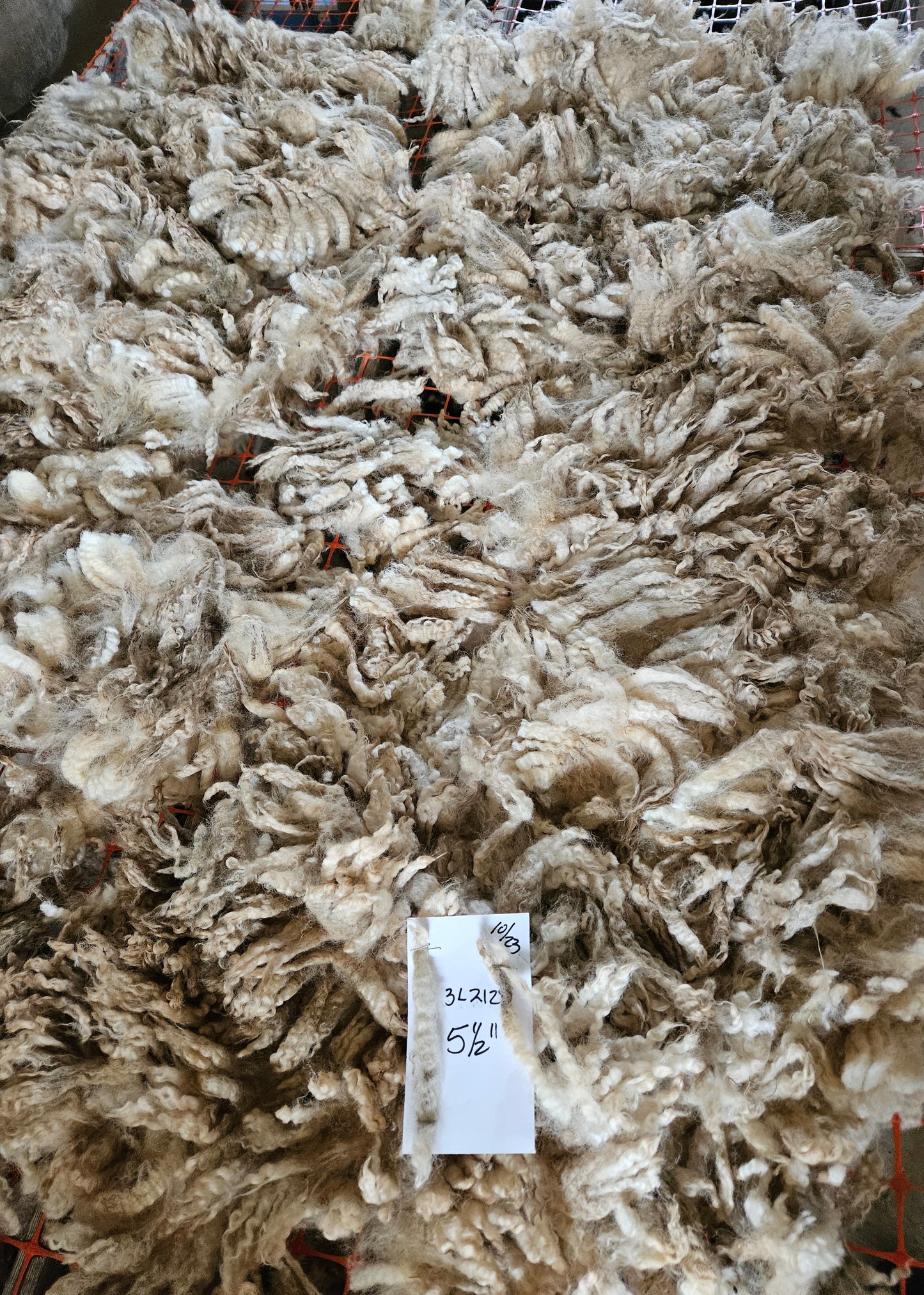 Raw Romney White Ewe Fleece - 3L 2128