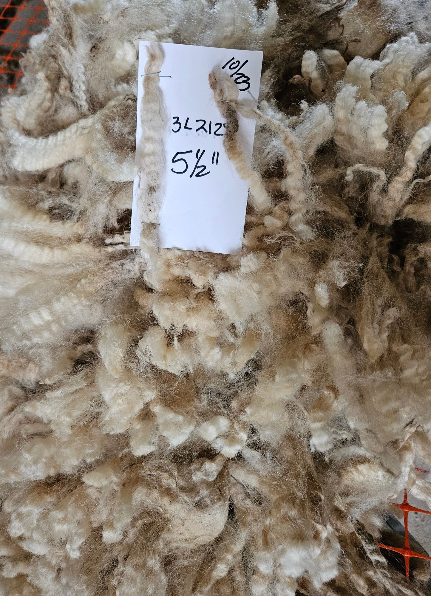 Raw Romney White Ewe Fleece - 3L 2128