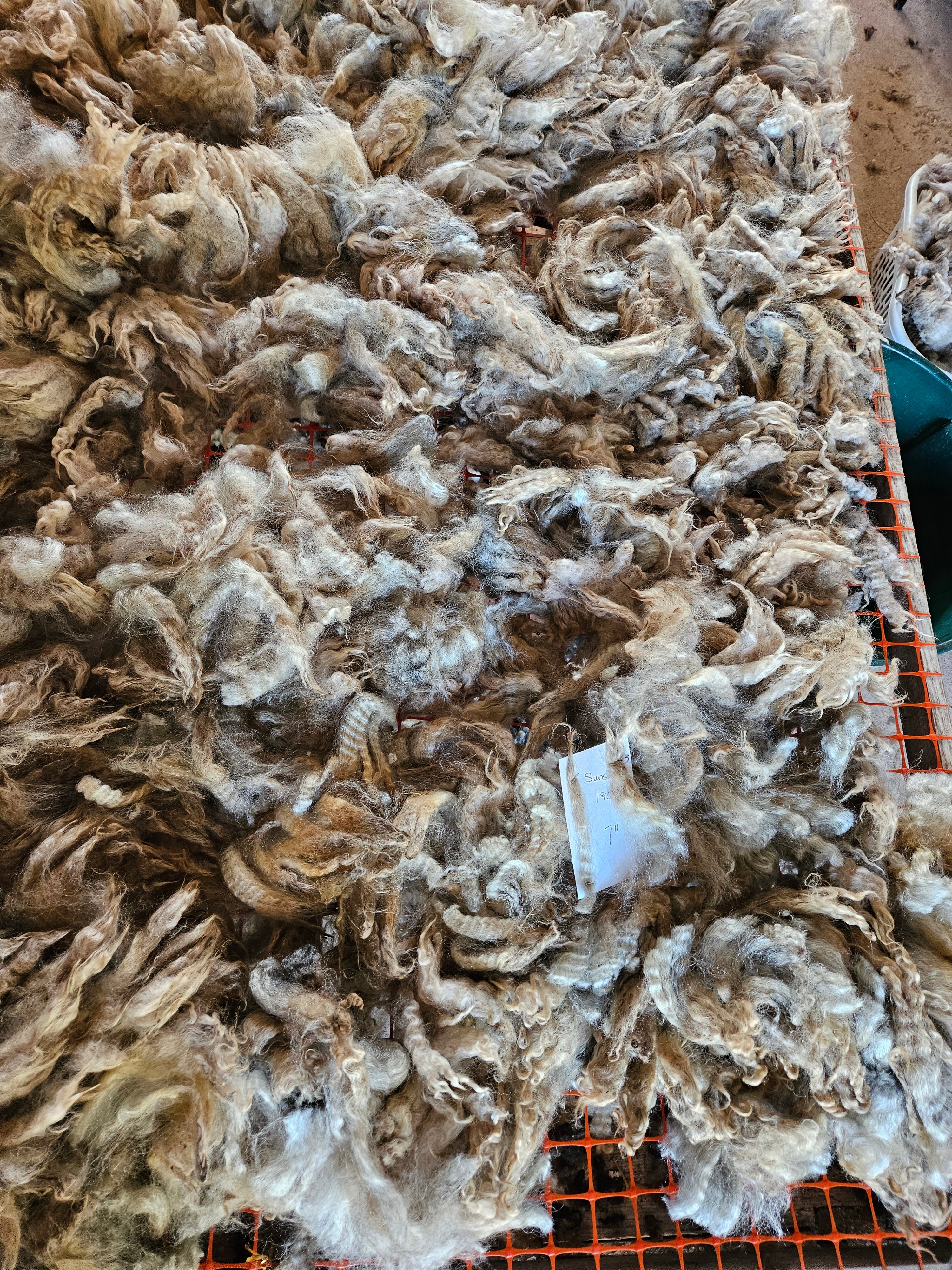 Raw Romney x Lamb Fleece #3 popular