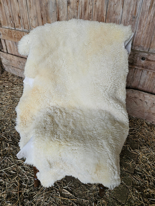 Sheepskin ESWSA-250 White Romney 42"x 31"