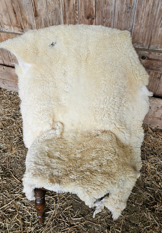 Sheepskin ESWS-275 White Romney- 45" x 35"