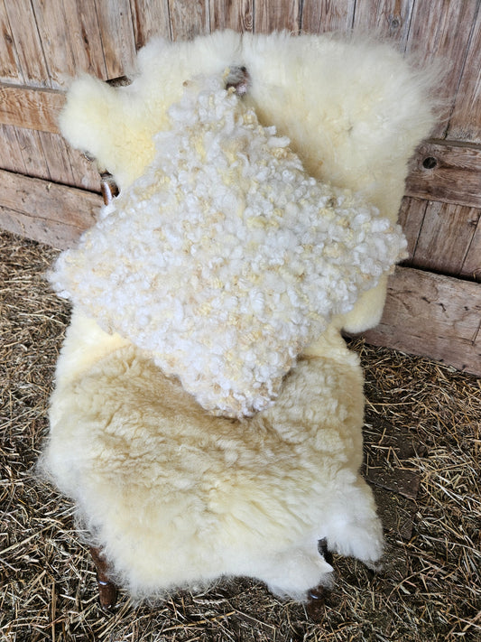 Sheepskin ECW?-225 White Romney Sheepskin 24 x 33