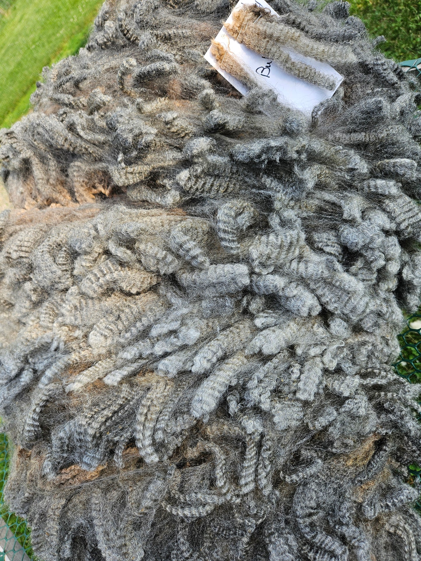 Romney Raw Silver Ram Fleece 3L "Silver Bullet""