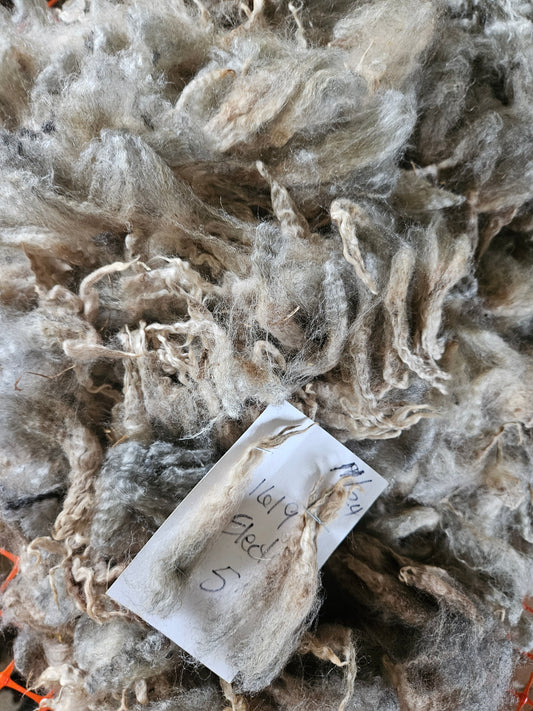 Romney Silver Raw Fleece 3L "Electra"