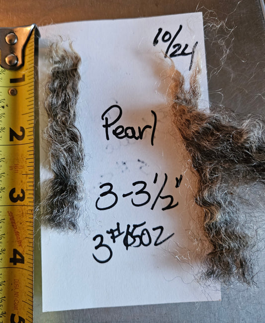 Raw Fleece Silver Romney Lamb  3LPearl