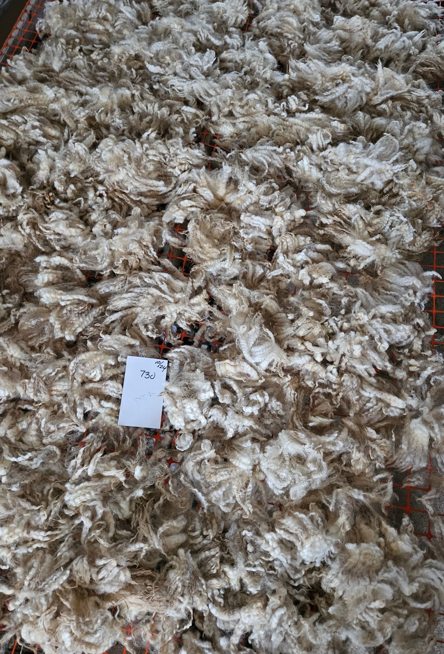 Raw Fleece Romney White Ewe 3L730 "Mess 2"