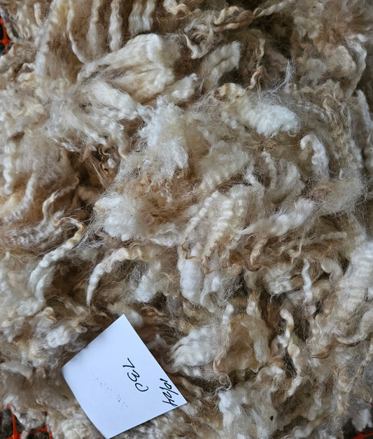 Raw Fleece Romney White Ewe 3L730 "Mess 2"