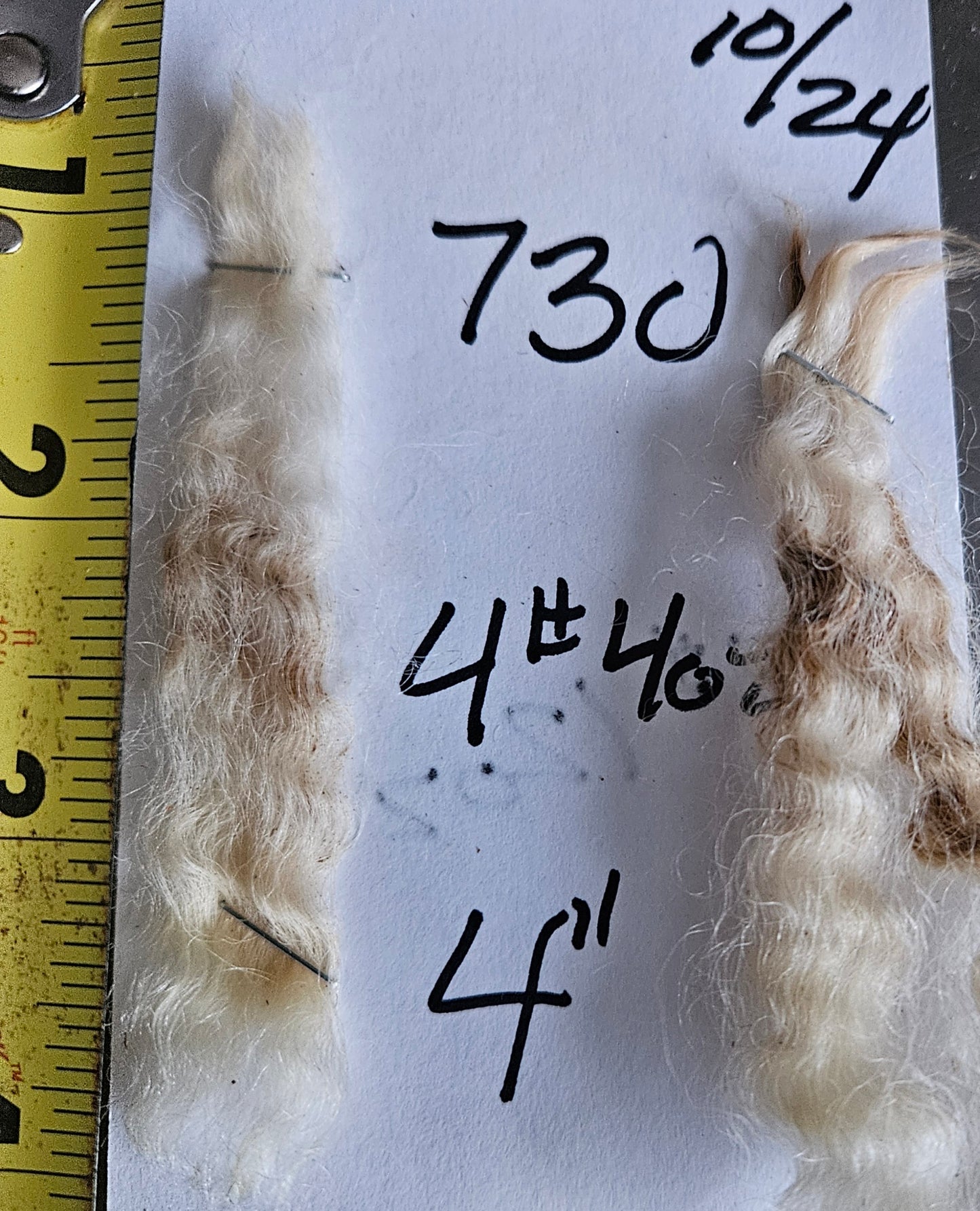 Raw Fleece Romney White Ewe 3L730 "Mess 2"