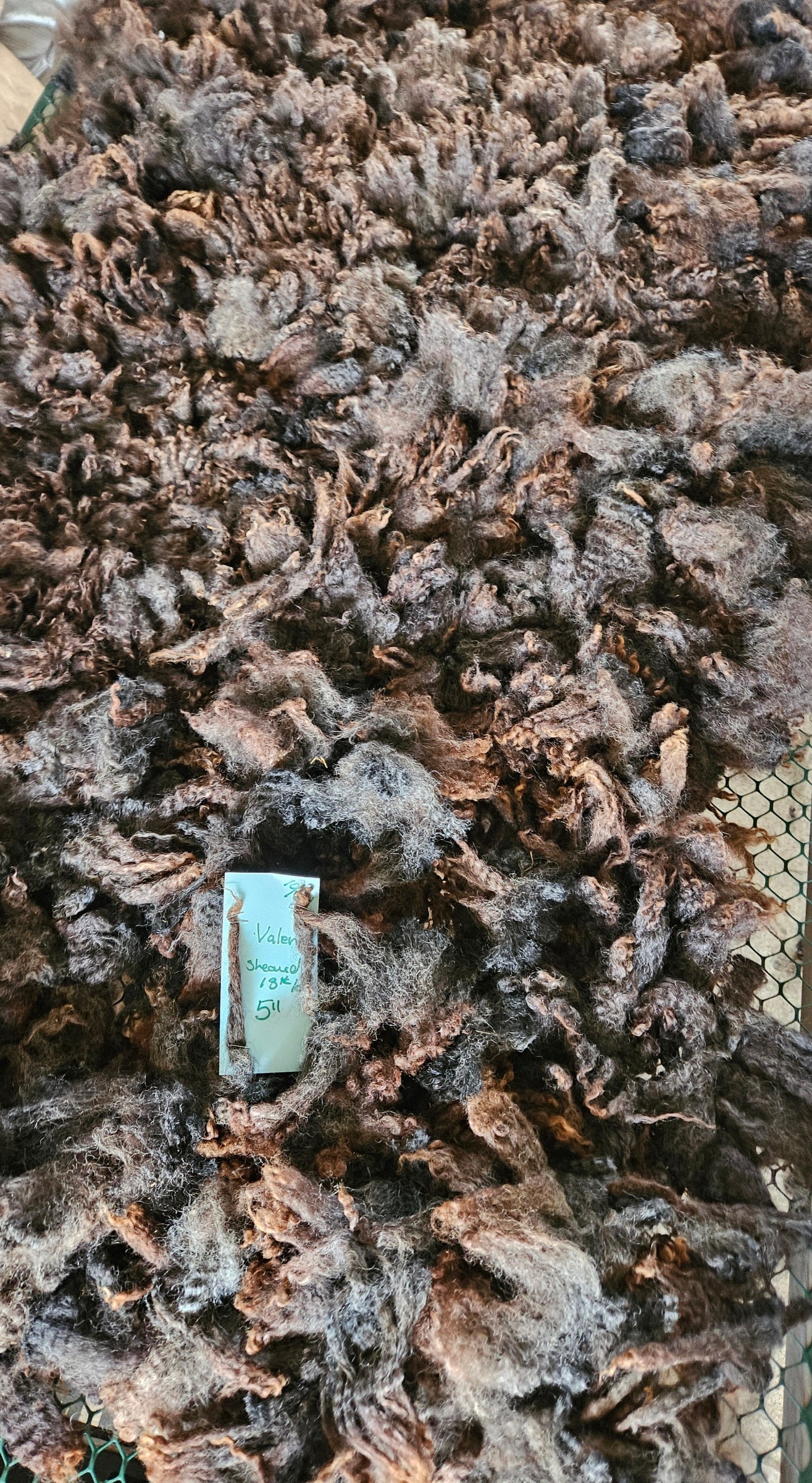 Raw Fleece Iron Gray Romney 3LValerie