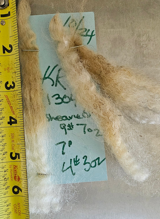Raw Romney Fleece White Ewe 3LCarmel