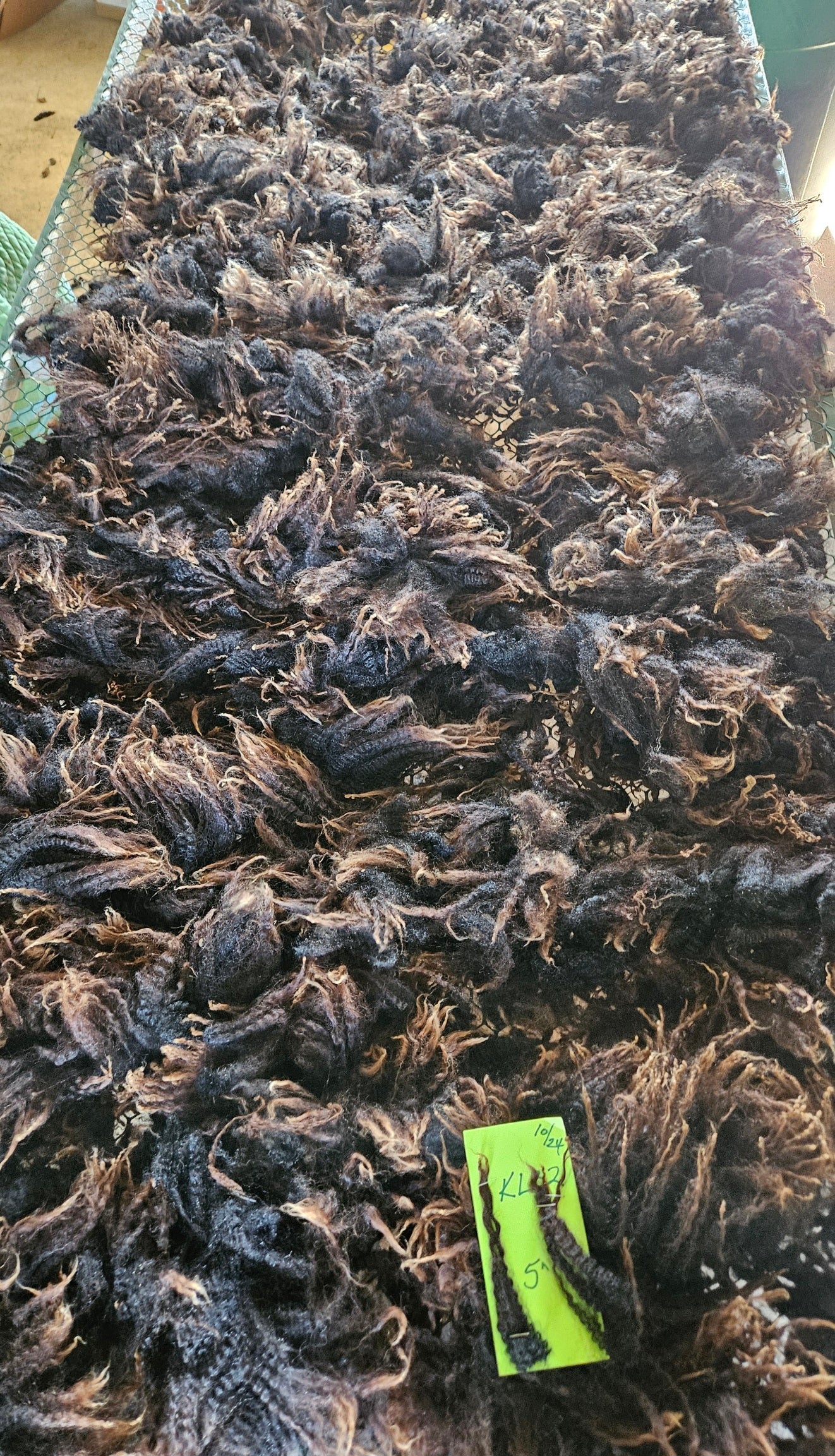 Raw Fleece Romney Black Ewe Lamb KLB2