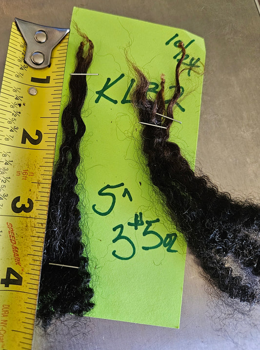 Raw Fleece Romney Black Ewe Lamb KLB2