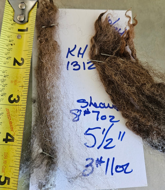 Romney Fleece Natural Silver Gray Yearling Ewe KH1312
