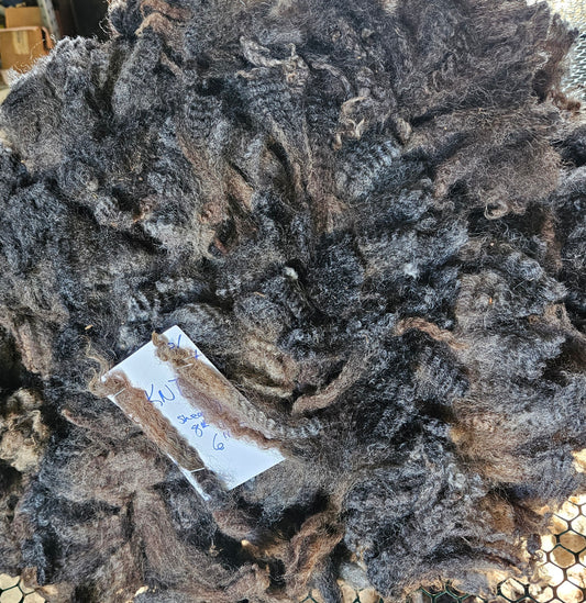 Romney Fleece Natural Iron Gray Ewe KNT
