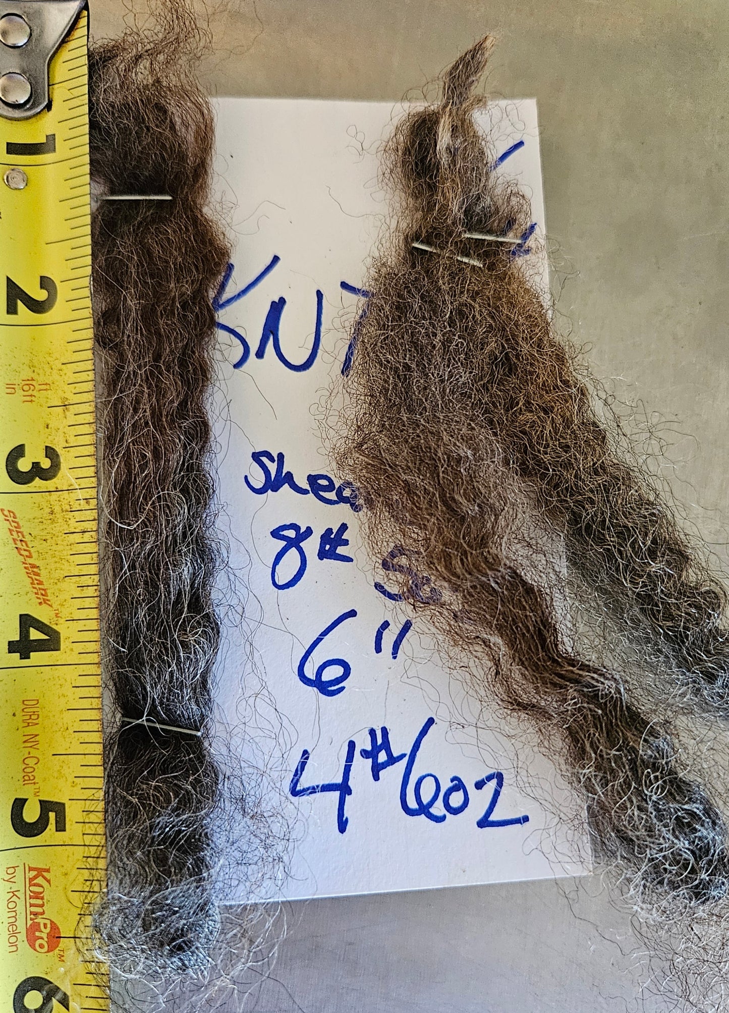 Romney Fleece Natural Iron Gray Ewe KNT
