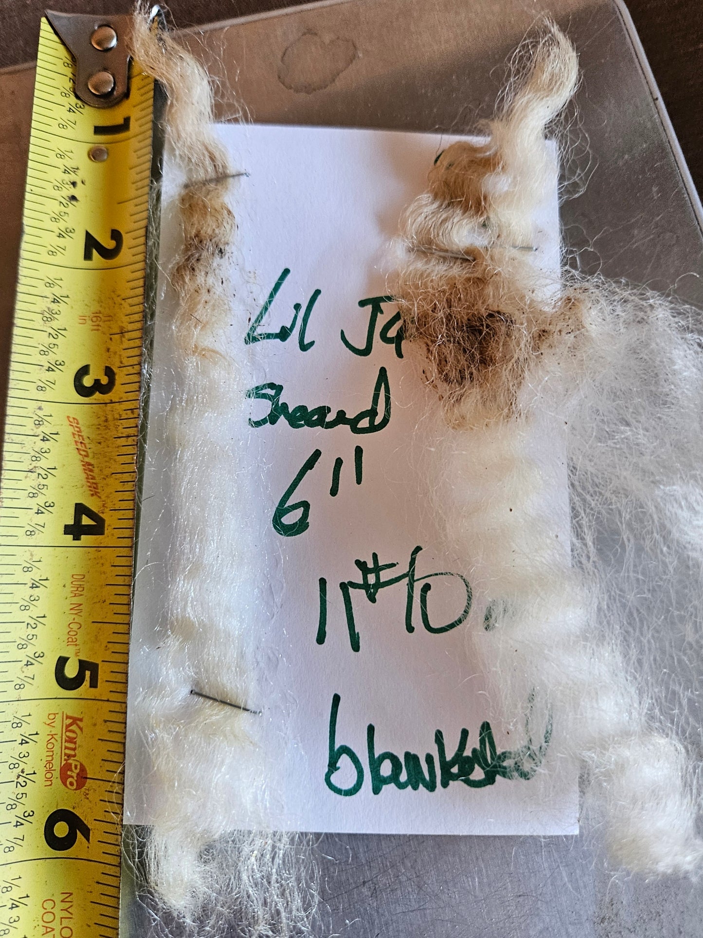 Raw Romney White Blanketed LIL JOE SHOW Fleece - Stud Ram