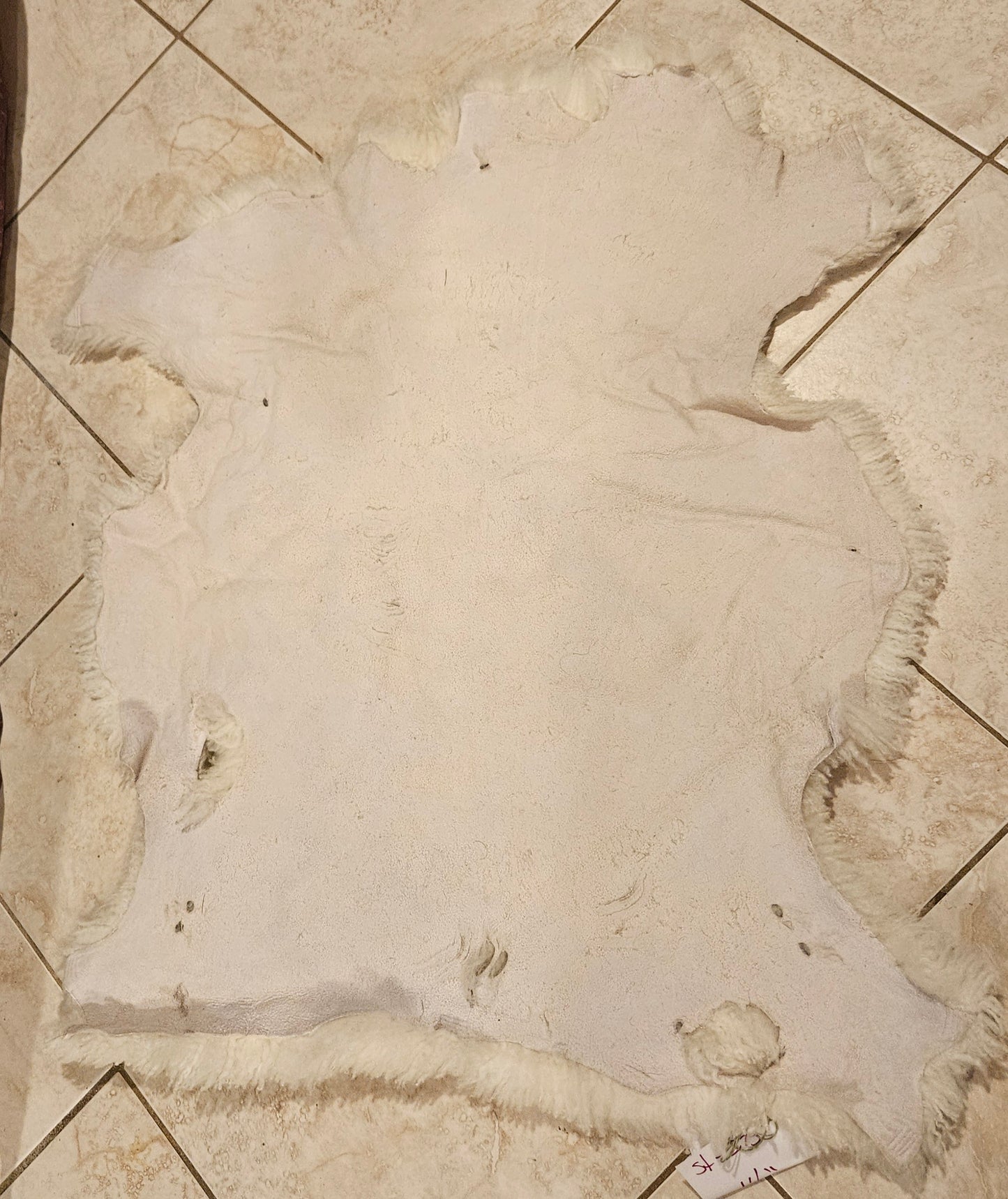 Sheepskin ST-225 White Romney 27" x 23"