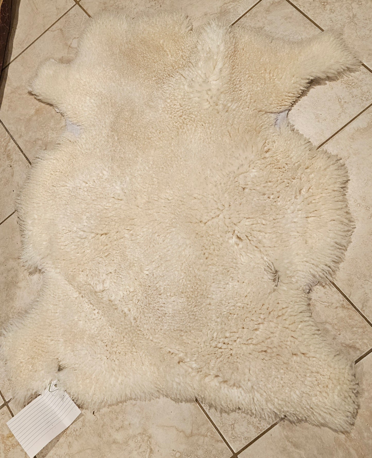 Sheepskin ST-225 White Romney 27" x 23"