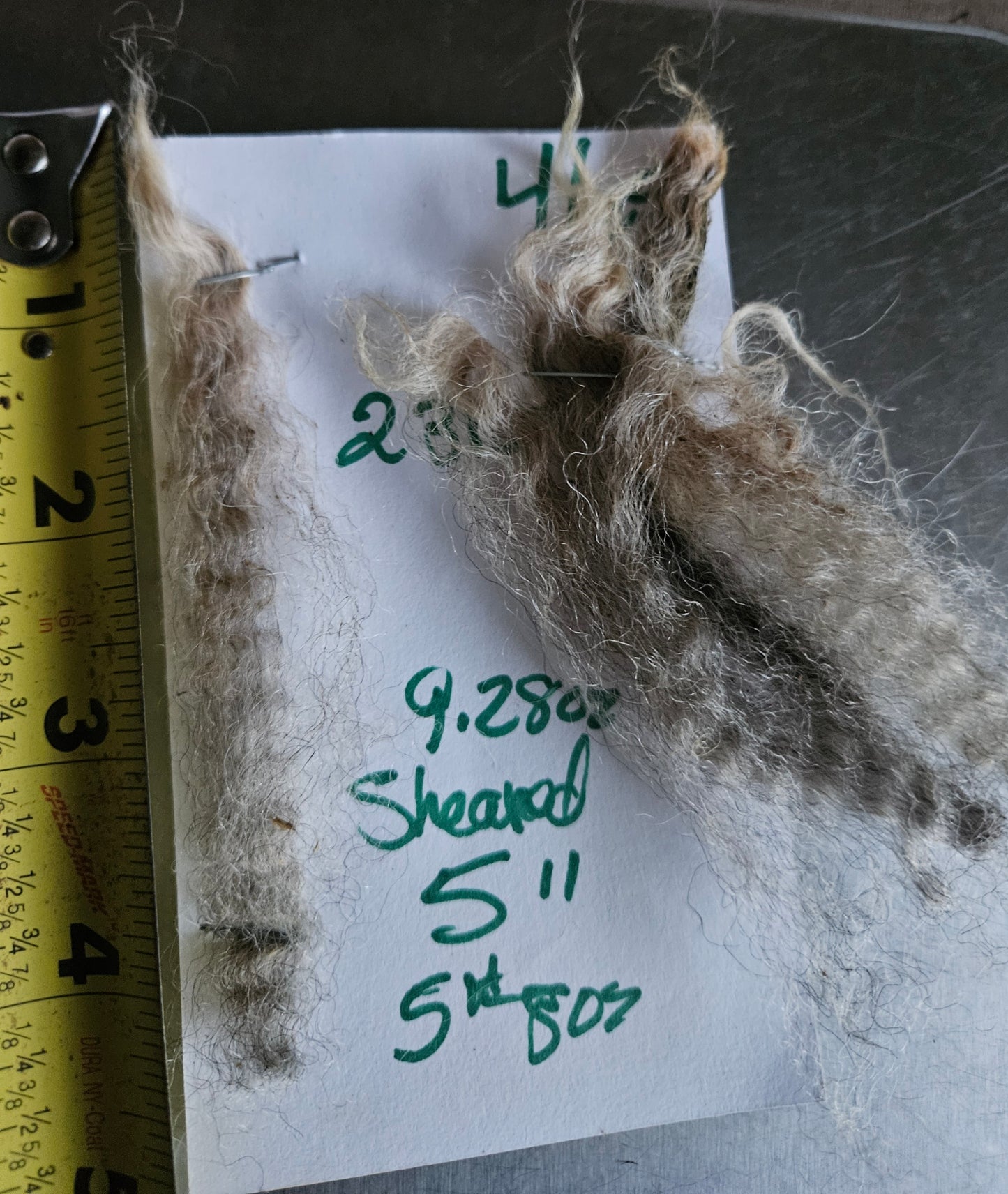 Raw Romney Fleece Silver Ewe 3L2315