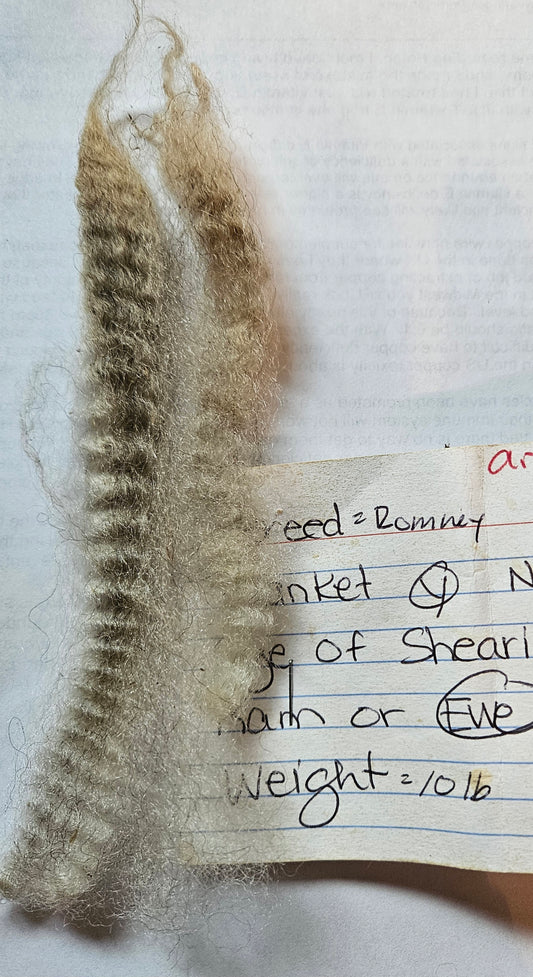 Romney Silver Raw Fleece- " Argento" mb