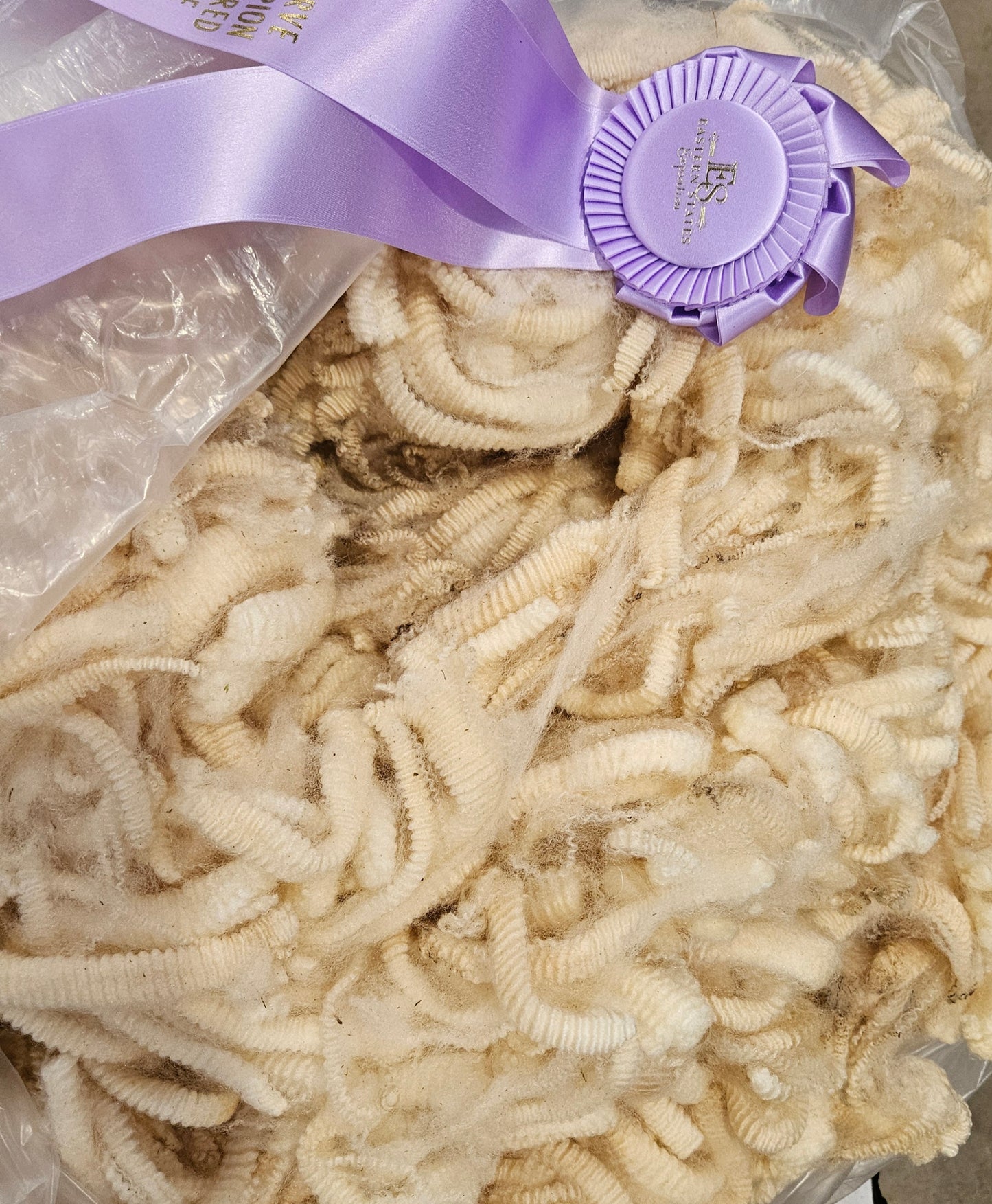 Raw Romney White Fleece Champion ECChamp