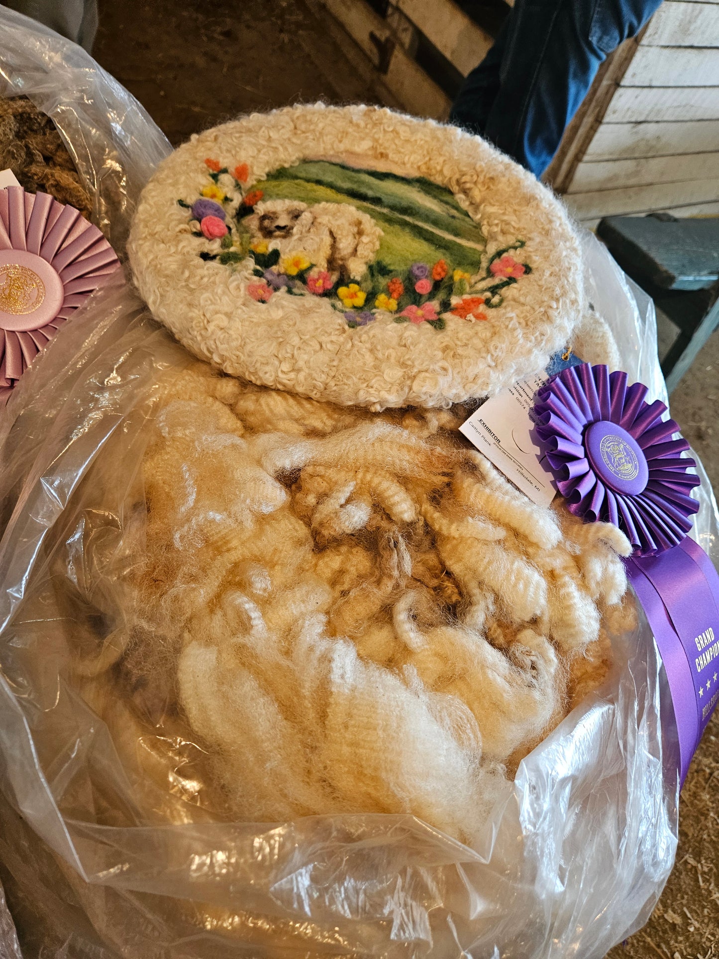 Raw Romney White Fleece Champion ECChamp