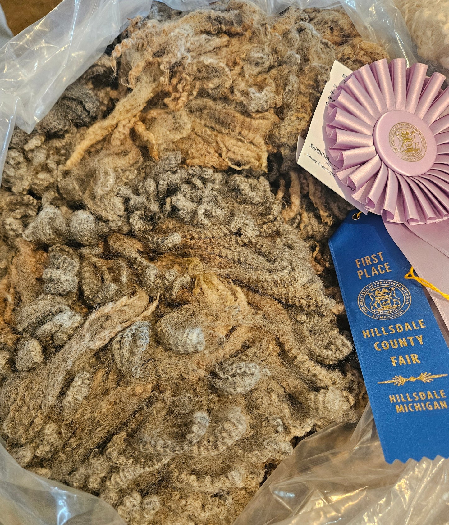 Raw Romney Fleece Silver Ewe- 3LS "2451"