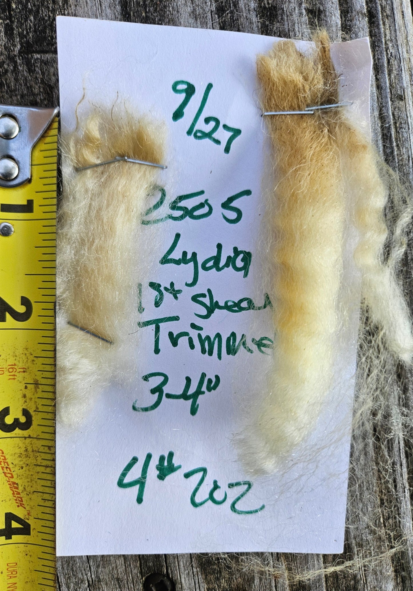 Raw Romney White Ewe Lamb Fleece - 3LS Lydia