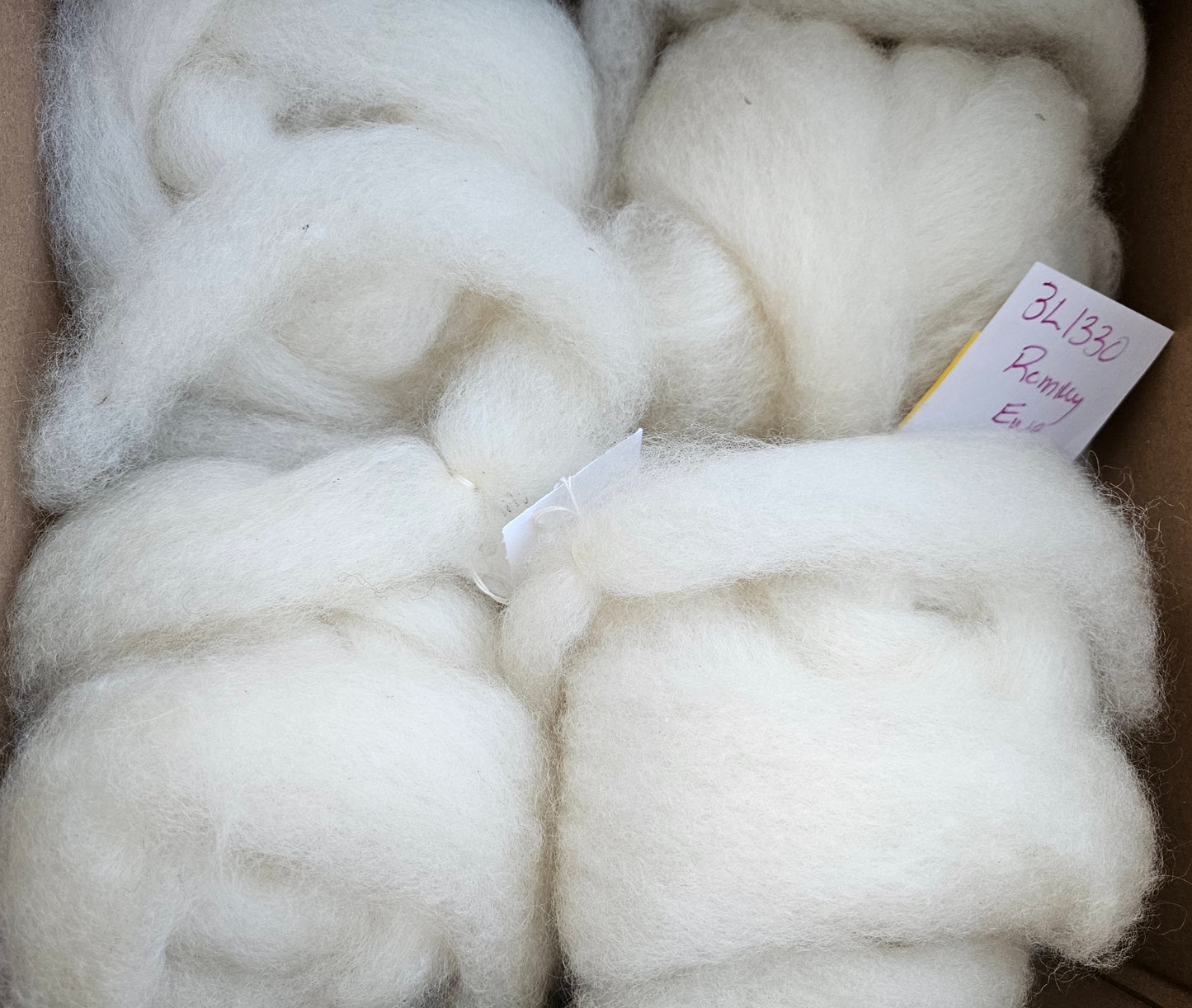 ARoving White 100% Romney 3l1330