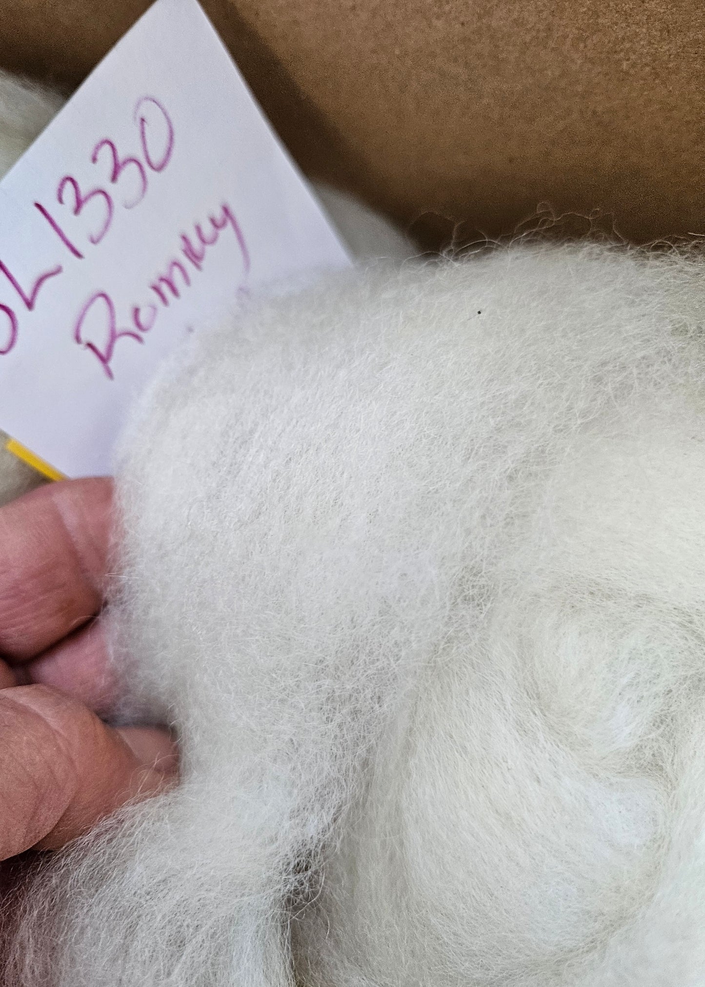 ARoving White 100% Romney 3l1330