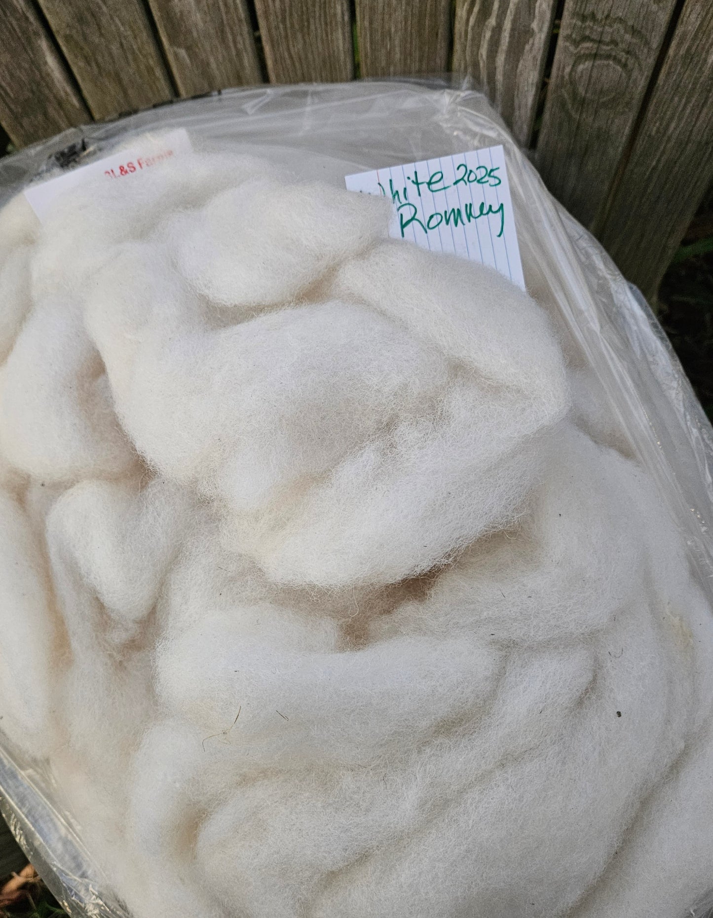 ARoving White R2025 100% Romney