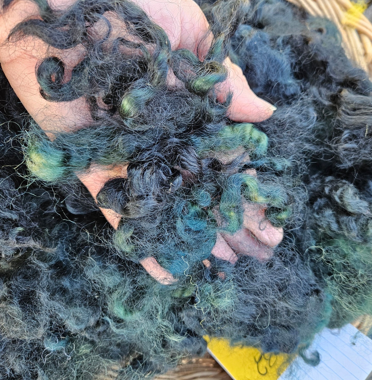 Locks Dyed LTeal Romney & Teeswatee 8ounces