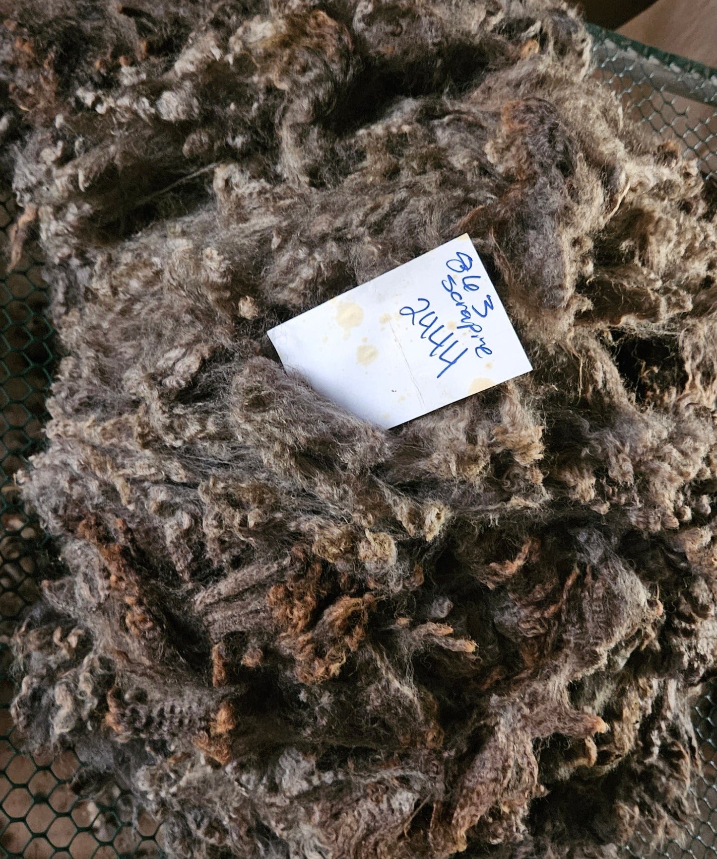 Raw Romney Fleece Silver Ewe- 3LS "2444"