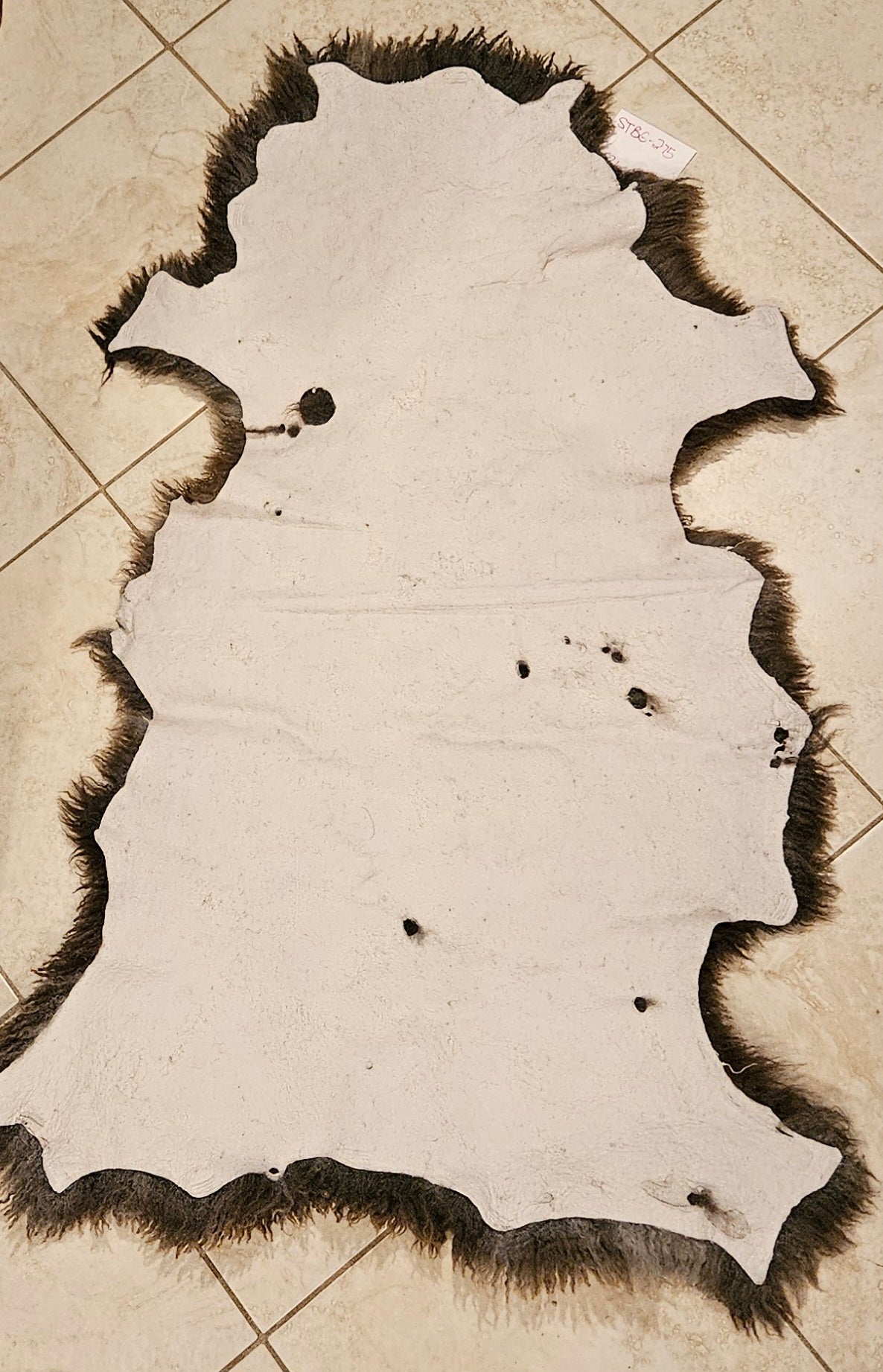 Sheepskin Silver Gray Soft Romney STBG-275