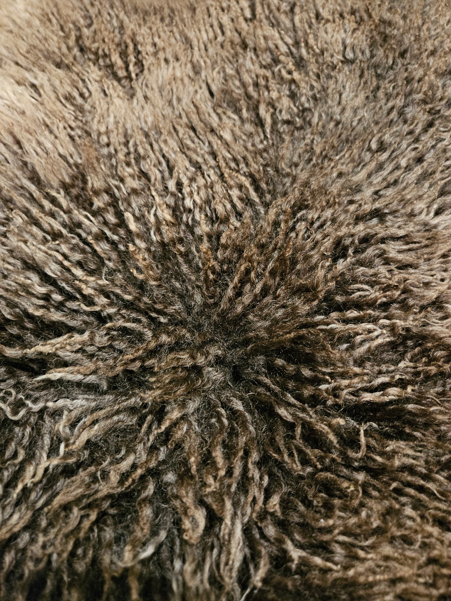 Sheepskin Silver Gray Soft Romney STBG-275