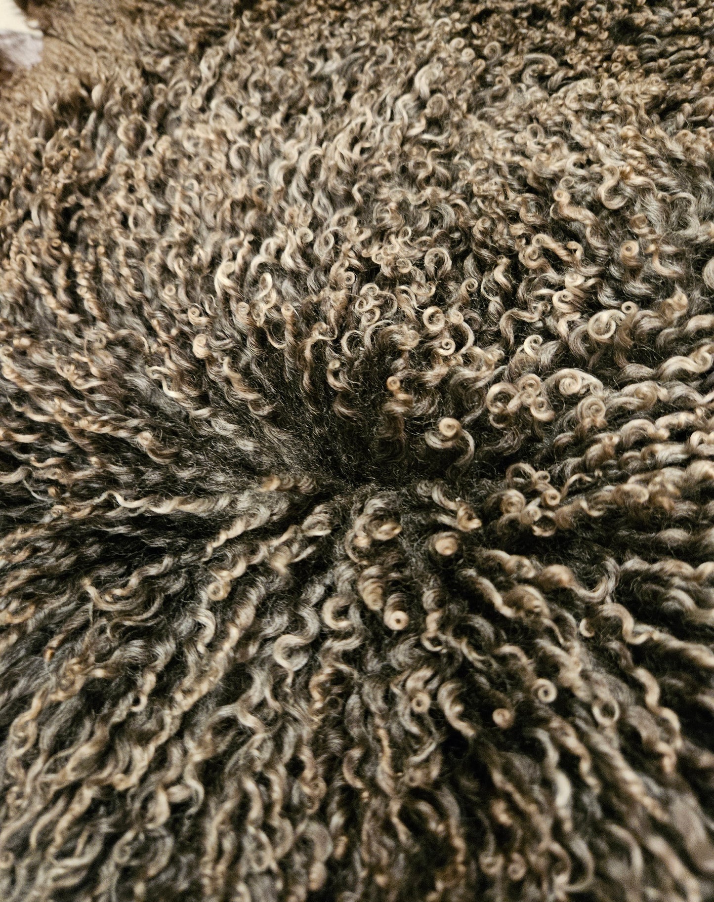 Sheepskin Silver Soft Romney STBS-300