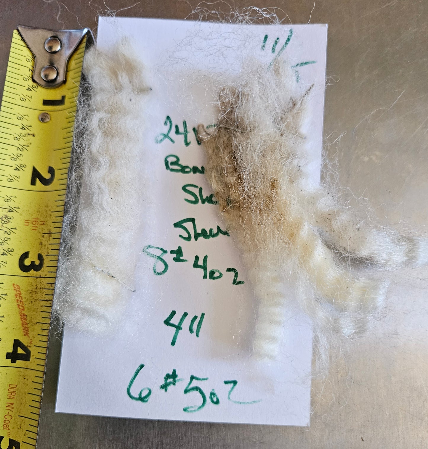 Raw Romney White Yearling Show Fleece - 3LS 2413