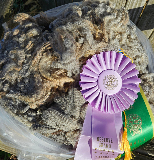 Raw Romney Fleece Silver Ewe- 3LS "2451"