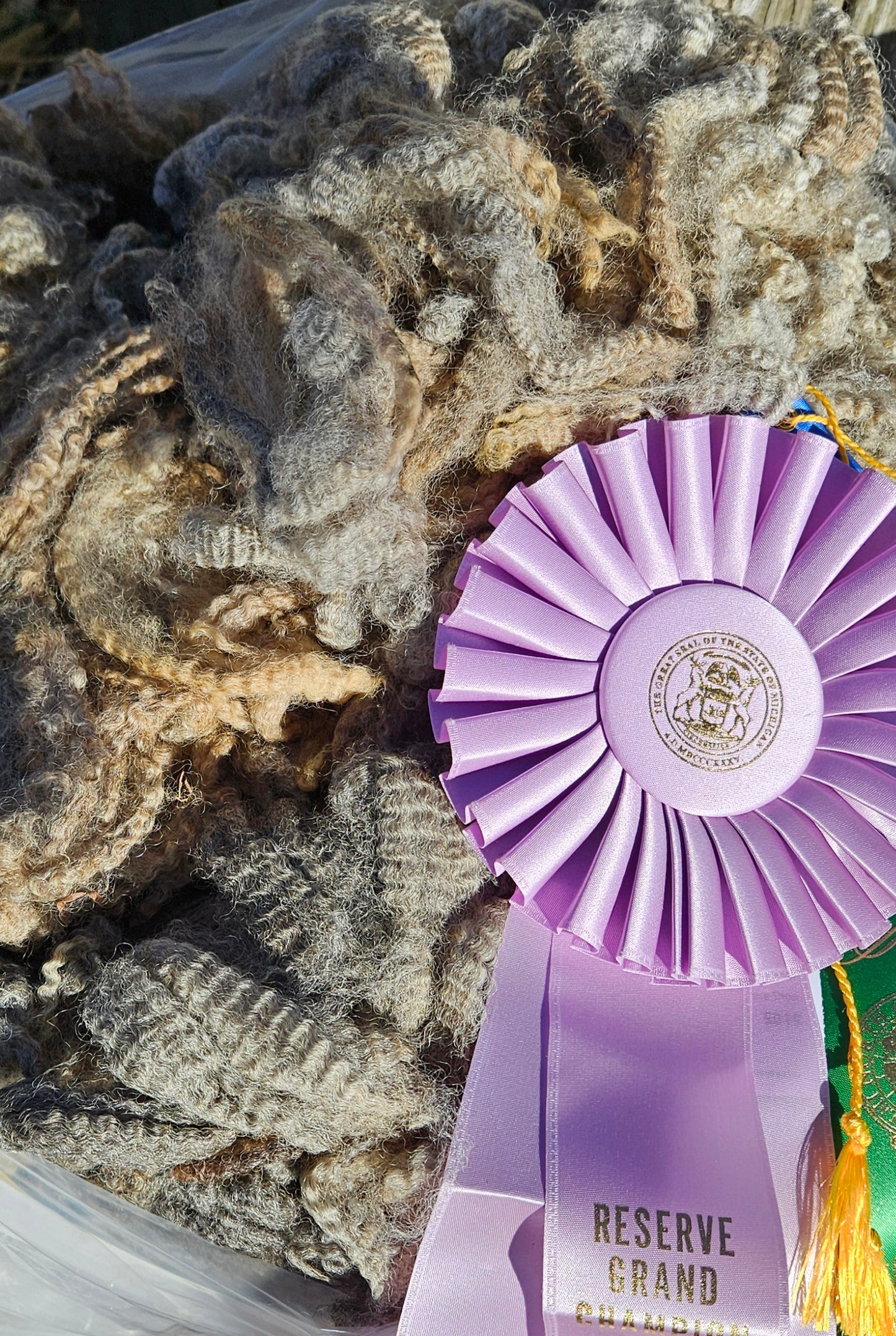 Raw Romney Fleece Silver Ewe- 3LS "2451"