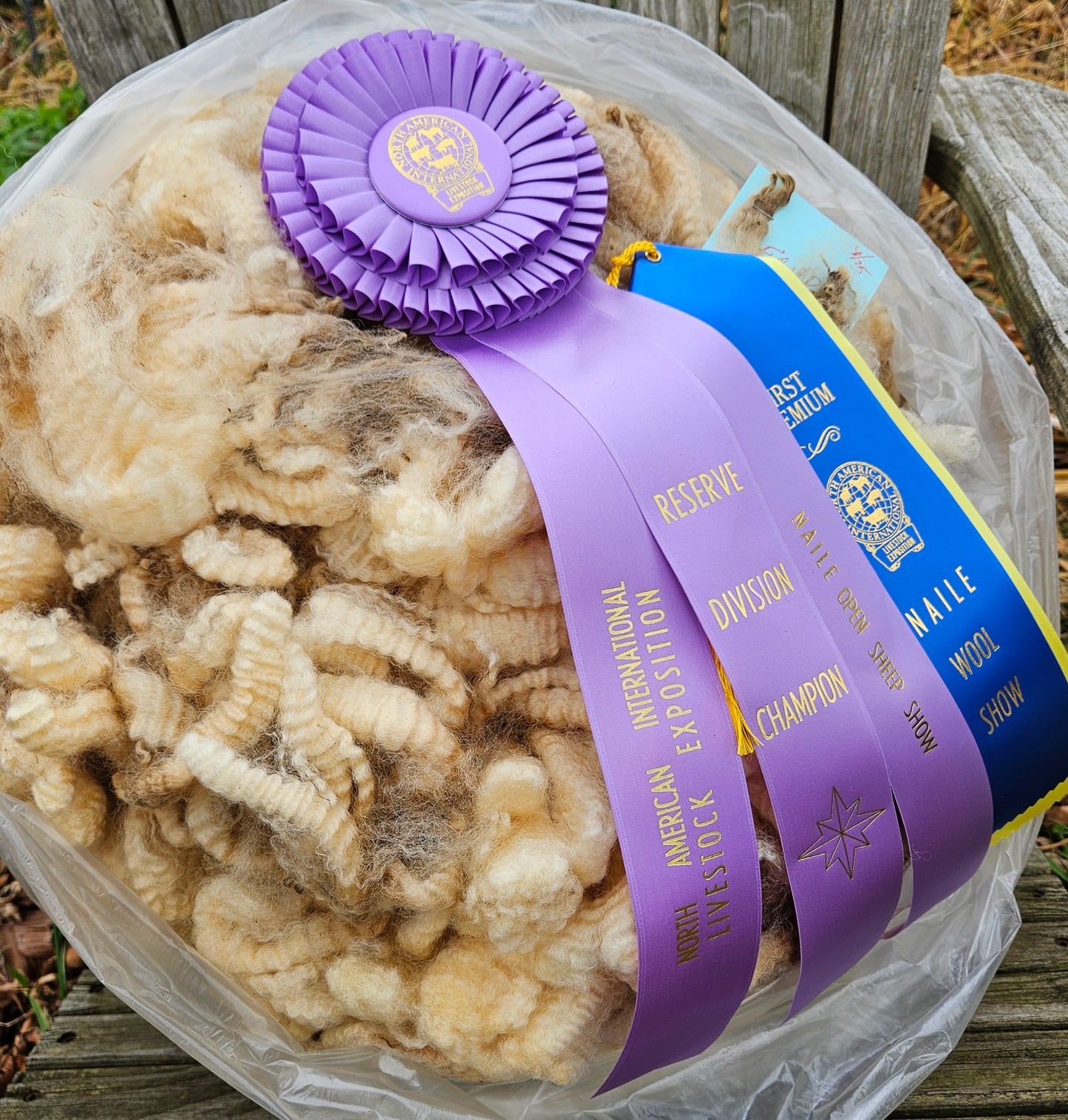 Raw Romney White Fleece Champion ECChamp