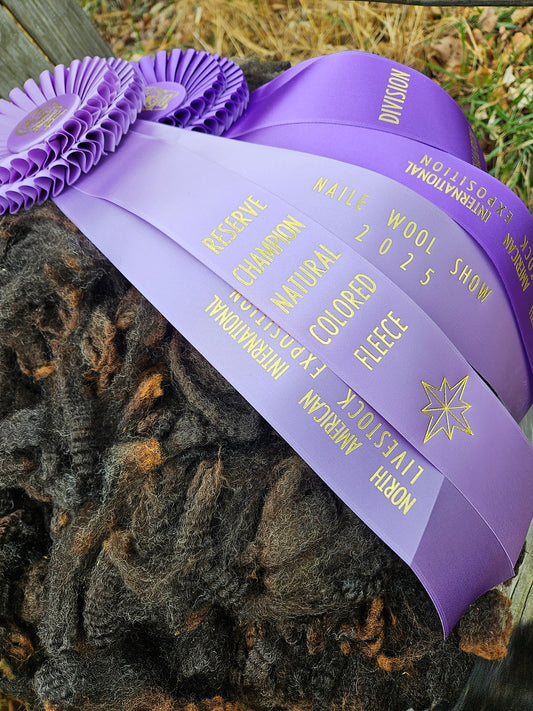 Raw Fleece Romney Black Yearling ECChamp