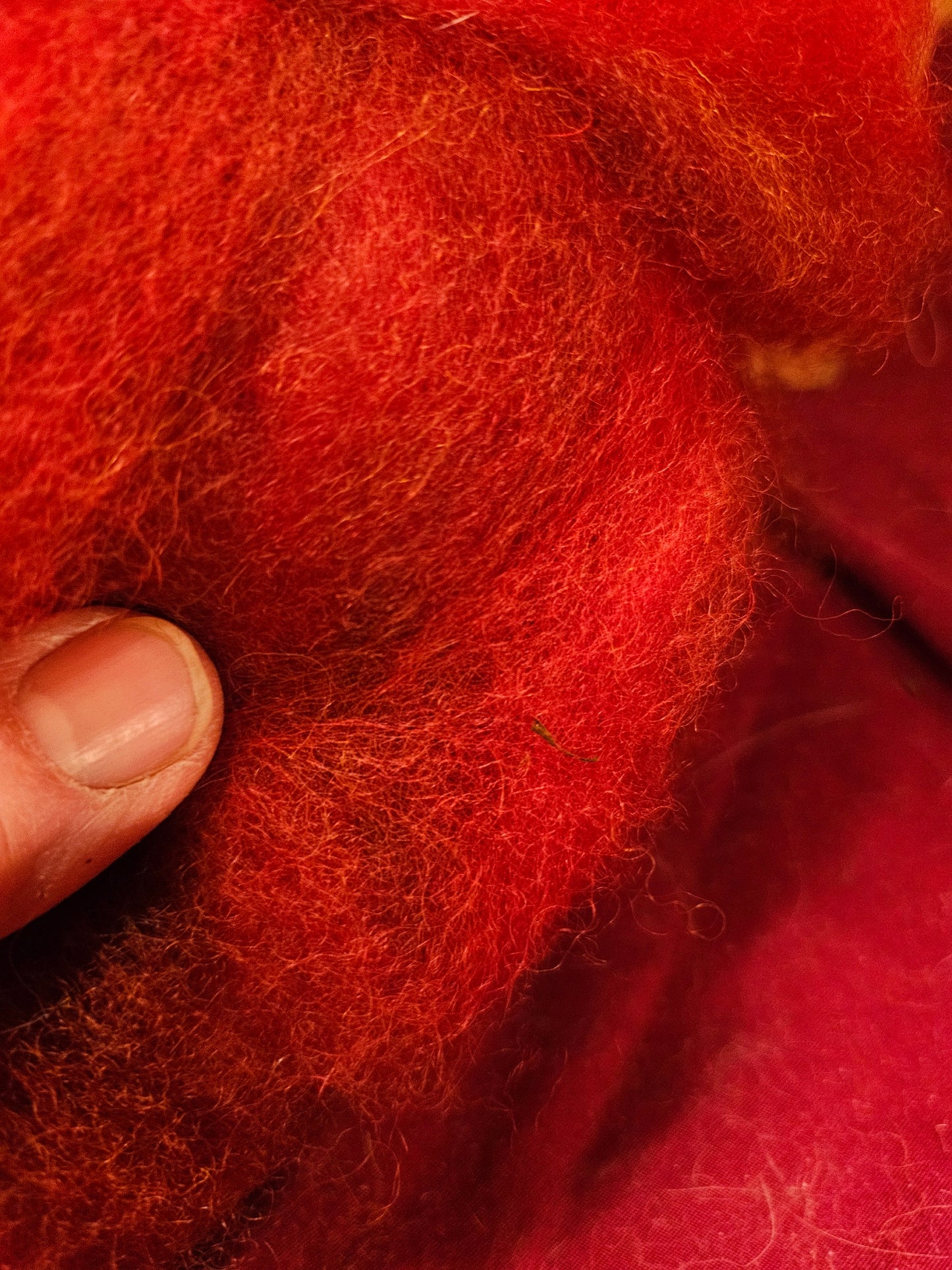 BRoving Scarlet /Egyptian Red Swirl 100% Romney RRBE5-1 ouncs