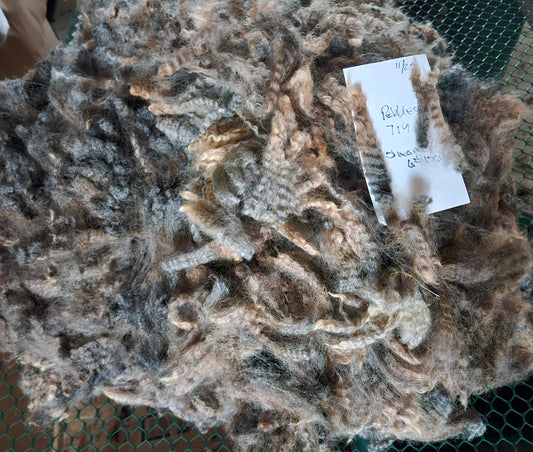 Raw Fleece Silver Romney Lamb  3LPearl