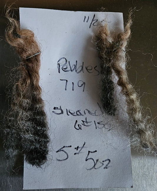 Raw Fleece Silver Romney Lamb  3LPearl