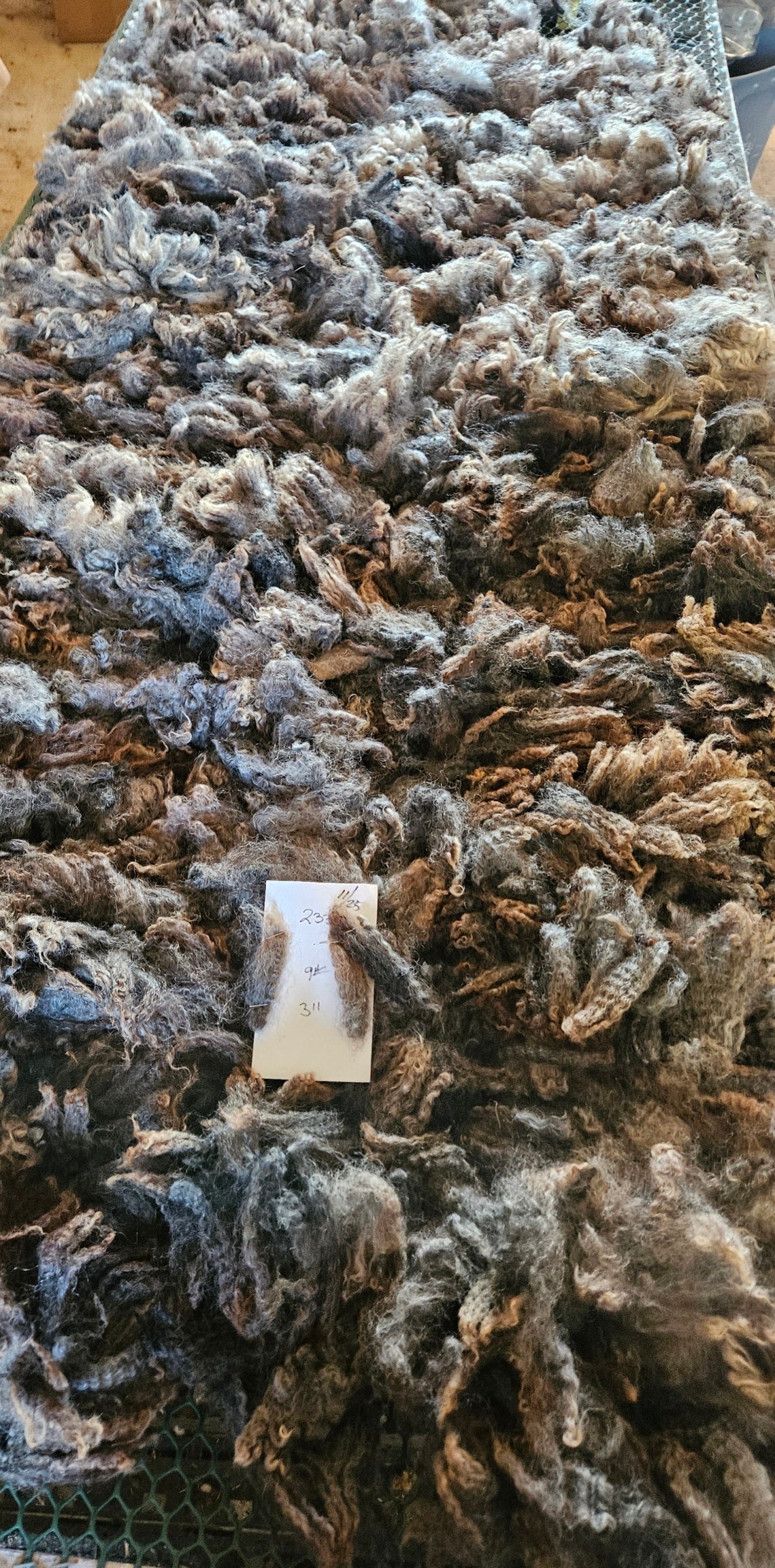 Raw Romney Fleece Gray Ewe 3L2332