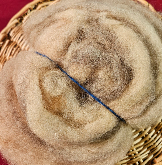 BNRoving Butternut Dyed 100% Romney RBS9- 1.4 ounces