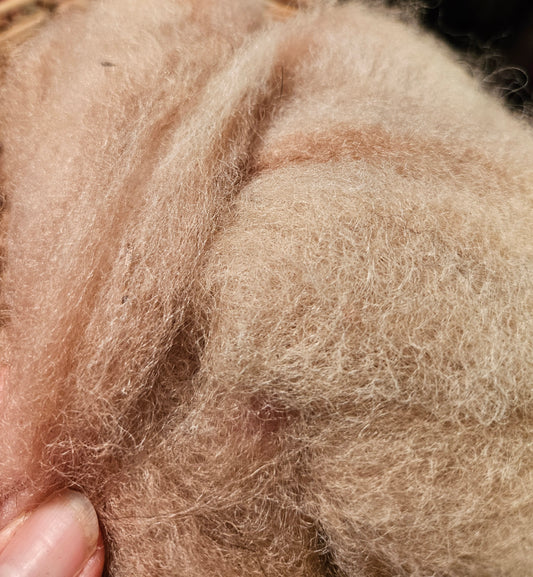 BNRoving Butternut Dyed 100% Romney RB13 1.9 ounces