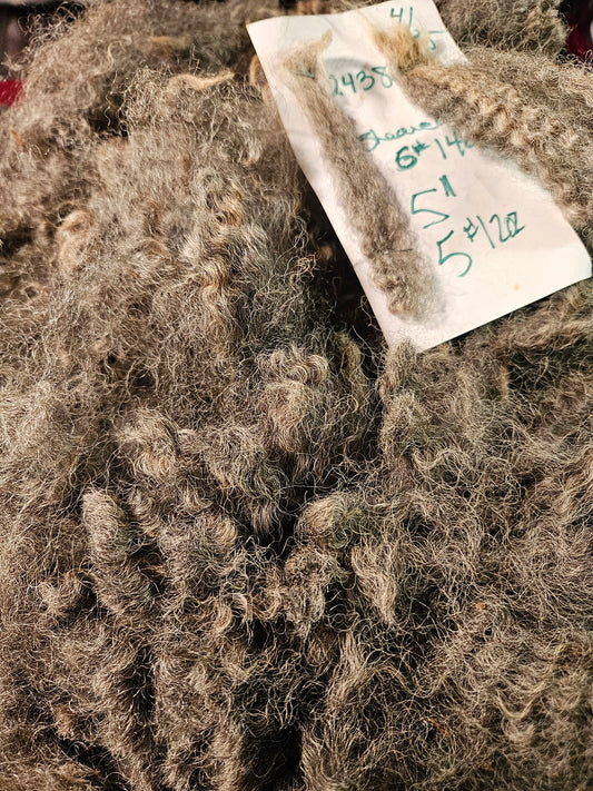 Raw Romney Fleece Pewter Ewe- 3LS "2438"
