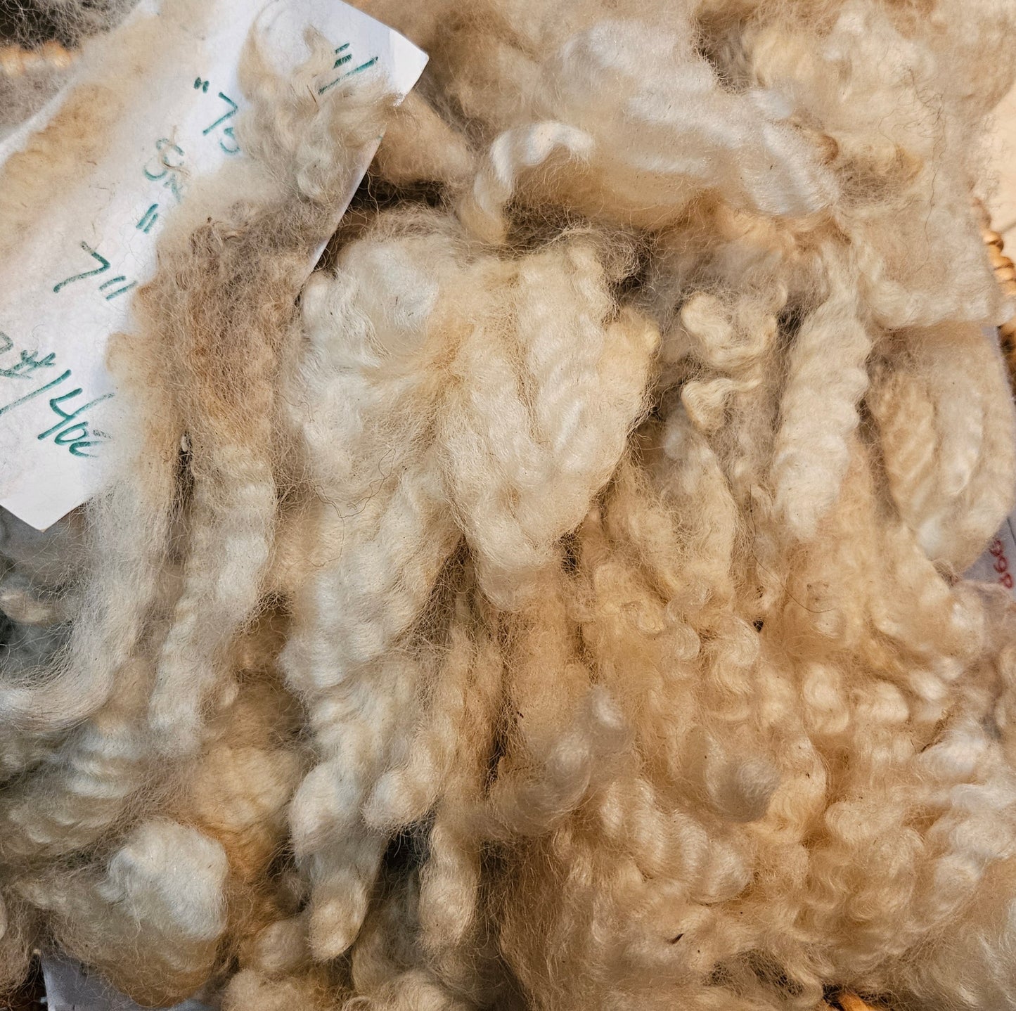 Raw Romney White Fleece 3L 754