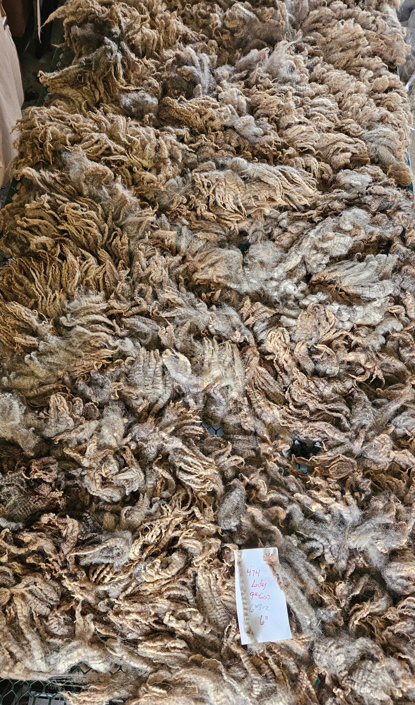 Raw Romney Silver Fleece "Lady-mb"